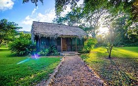 הופקינס Bocawina Rainforest Resort Exterior photo