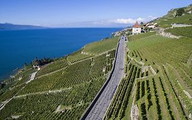 מלון Saint-Saphorin Domaine Du Burignon Exterior photo