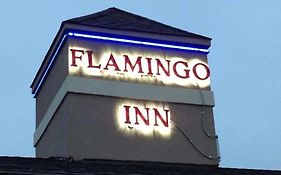אלק סיטי Flamingo Inn Exterior photo
