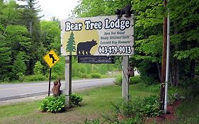 ווירס ביץ' Bear Tree Lodge Exterior photo