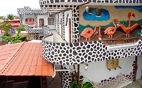 פורטו איורה Hotel Coloma Galapagos Exterior photo