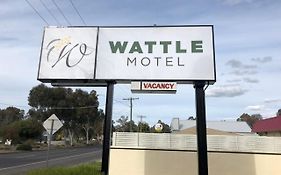 סימור Wattle Motel Exterior photo