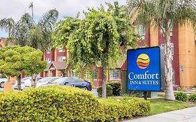 Comfort Inn & Suites סלינס Exterior photo
