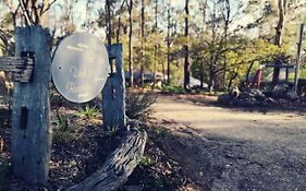 לייקס אינטרנס Kalimna Woods Cottages Exterior photo