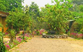 סאורהה Chitwan Gaida Lodge Exterior photo