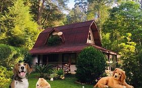 הוילה Casa Na Floresta Em Campos do Jordão Exterior photo