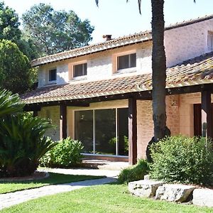 La Villa Saint Andre - Argeles Sur Mer Exterior photo