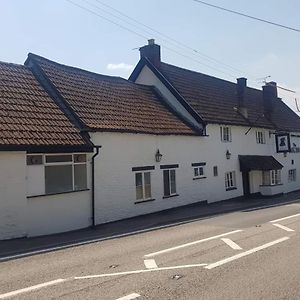 בריסטול The Dog Inn Exterior photo