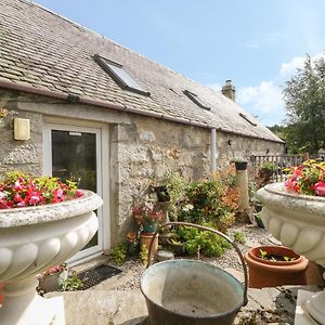 ניוטונמור Grouse Cottage Exterior photo