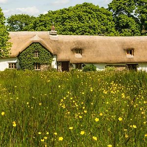 לינה וארוחת בוקר Beaworthy Hay Meadow Farm Exterior photo