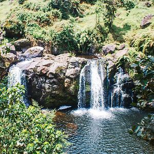 Marangu Mai Kilimanjaro Home Stay Exterior photo