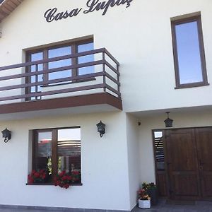 מלון Gilău Pensiunea Casa Lupas Exterior photo