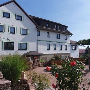 Seewald Landhotel Traube Exterior photo