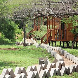 Mkuze Igula Lodge Exterior photo