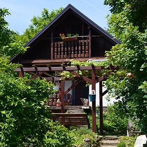 הוילה Sveti Martin pod Okicem Na Okic - A Private Forest Oasis Exterior photo