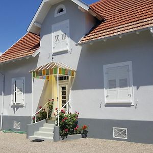 לינה וארוחת בוקר Offendorf Au Berceau Du Loup Agile Exterior photo