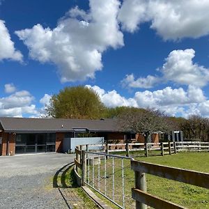 לינה וארוחת בוקר Tamahere Unique Equestrian Lifestyle Exterior photo