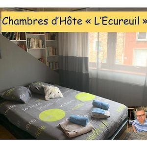 Frameries Chambres D'Hote "L Ecureuil" Proche De Mons, Pairi Daiza, A Cote De Spark'Oh Exterior photo
