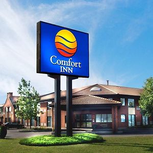 Chicoutimi Comfort Inn Exterior photo