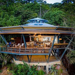 בוקס דל טורו La Loma Jungle Lodge And Chocolate Farm Exterior photo