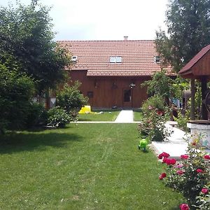 Ozun Albinuta Guesthouse Exterior photo
