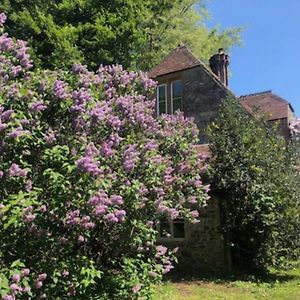 דירות צ'ארד Beautiful Converted Stable In Peaceful Somerset, Close To The Jurassic Coast Exterior photo