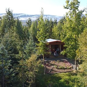 הוילה אקורירי Bakkakot 1 - Cozy Cabins In The Woods Exterior photo