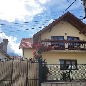 מלון Zărneşti Casa Piatra Craiului Exterior photo