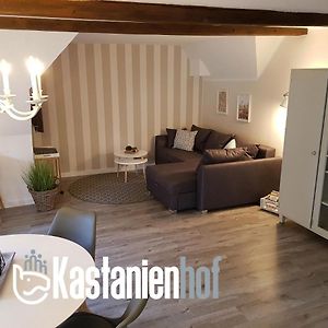 Oetzen Neu Renovierte Ferienwohnung Mit Poolhaus & Sauna Auf Dem Bauernhof Exterior photo