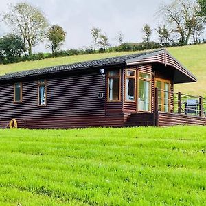 דירות קאוברידג' Luxury Farm Cabin In The Heart Of Wales Exterior photo