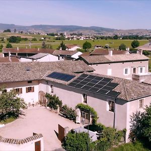 לינה וארוחת בוקר Lancié Maison Du Figuier Exterior photo