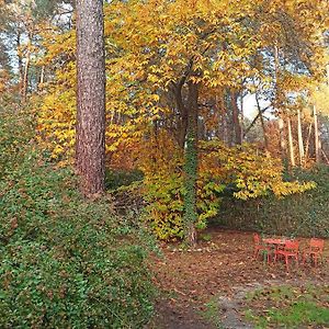 מלון סומה לומברדו L'Oasi Nel Bosco Exterior photo