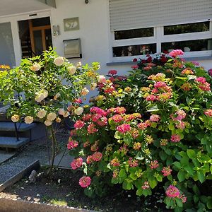 דירות Helmsheim Gaestehaus Eissler Exterior photo