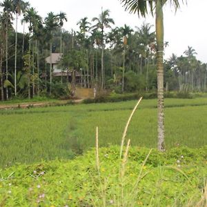 Panamaram Wayal Wayanad Twin Villa Exterior photo