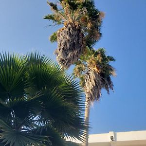 לינה וארוחת בוקר Sea Shell Palms, אוצ'ו ריוס Exterior photo