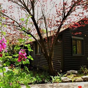 בית הארחה נומה עמק - אירוח כפרי ביקנעם מושבה Exterior photo