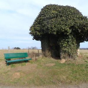 מלון Gite D'Anthisnes Exterior photo