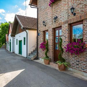 בית הארחה Kneževi Vinogradi 	Podrumi Kolar "Suza Baranje" Exterior photo