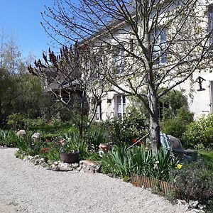 Saint-Dyé-sur-Loire Le Clos Josephine Exterior photo