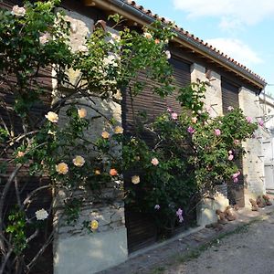 לינה וארוחת בוקר Le Vanneau-Irleau La Maison Des Herons Exterior photo