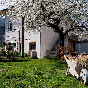 מצולומברדו B&B La Fosina Exterior photo