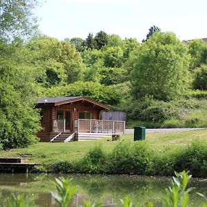 סומרטון Viaduct Fishery Holiday Lodges Exterior photo