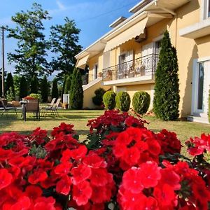יואנינה Sevi'S Luxury Guesthouse Villa Exterior photo