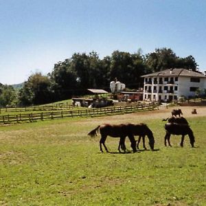 לינה וארוחת בוקר Rueglio Favetto Family Ranch Exterior photo