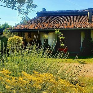 לינה וארוחת בוקר Preguillac Le Clos De L'Amiral Exterior photo