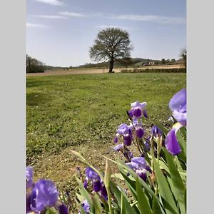 הוילה Moncaup  Gite Du Clos Baste Exterior photo