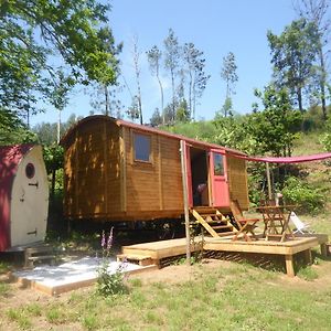 פדרוגאו גראנדה Rosa The Cosy Cabin - Gypsy Wagon - Shepherds Hut, River Views Off-Grid Eco Living Exterior photo