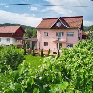 הוילה Barasti Vila Teo Exterior photo