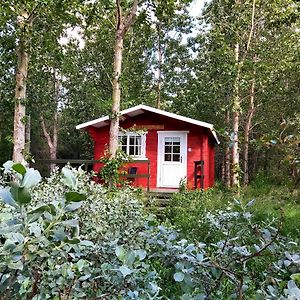 דירות אקורירי Bakkakot 3 Cozy Cabin In The Woods Exterior photo