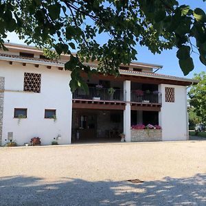 Premariacco Agriturismo Antica Corte Contadina Exterior photo